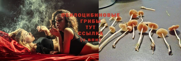 кокс Алзамай