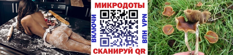 Галлюциногенные грибы MAGIC MUSHROOMS  это клад  Дрезна  цена наркотик 